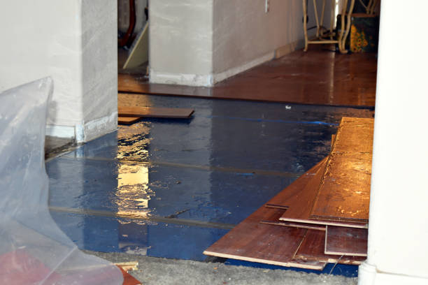 Professional Storm Water Damage Restoration technician working in Murphy, MO